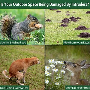 Ultrasonic Solar Powerd Bird and Pest Repeller - SNAPPYFINDS.COM ™