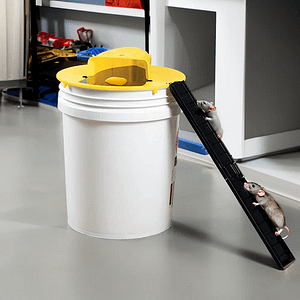 Humane Rat Mouse Trap Bucket Cove