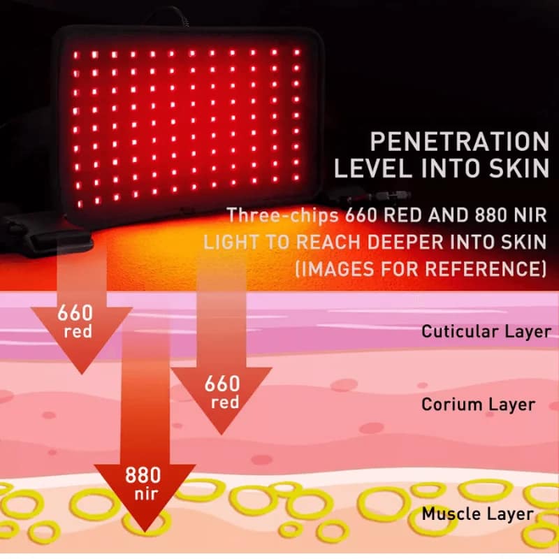 Infrared Red Light Therapy Waist Wrap Pad Belt
