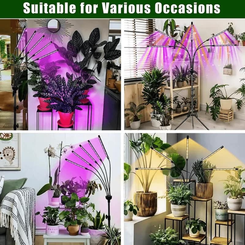 LED Plant Grow 5 Light with Stand LED Plant Grow 5 Light with Stand - Image 2