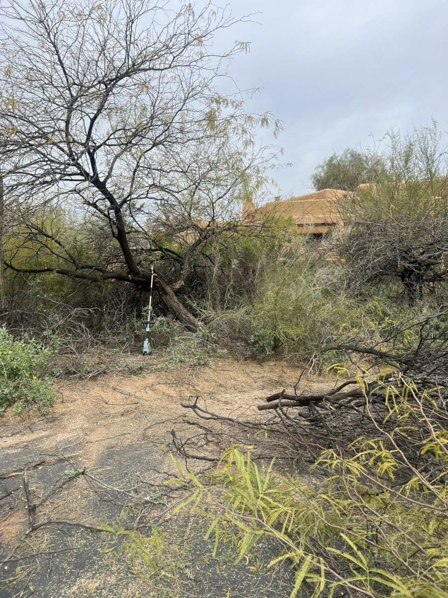 Image #1 from Edwin Rodriguez