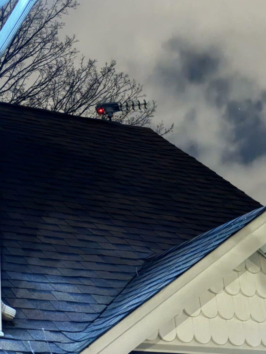 Image #1 from Cliff Edwards. ✓verified