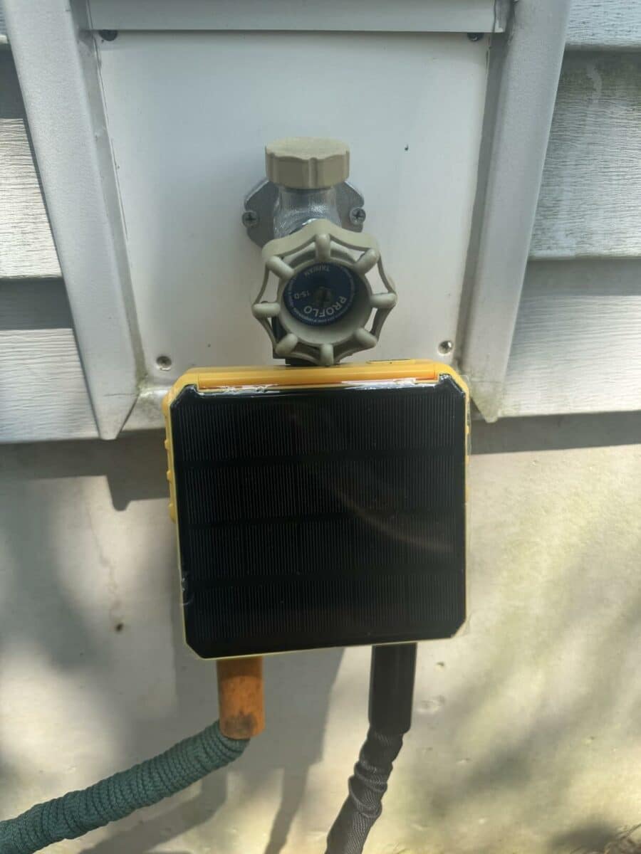 Image #1 from Cassie