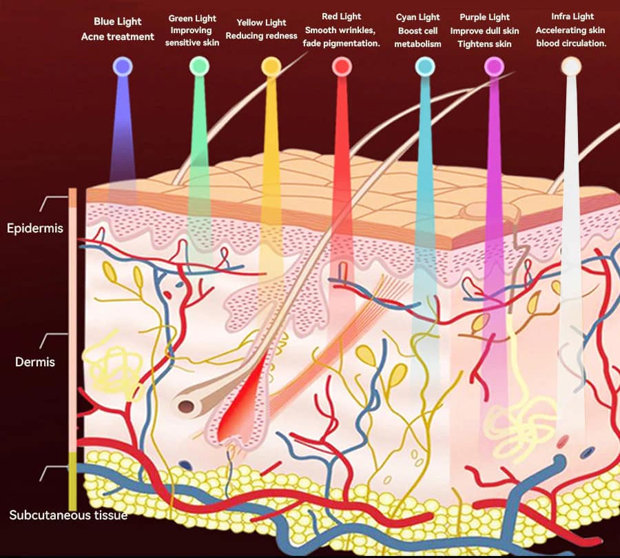 LED Light Therapy System