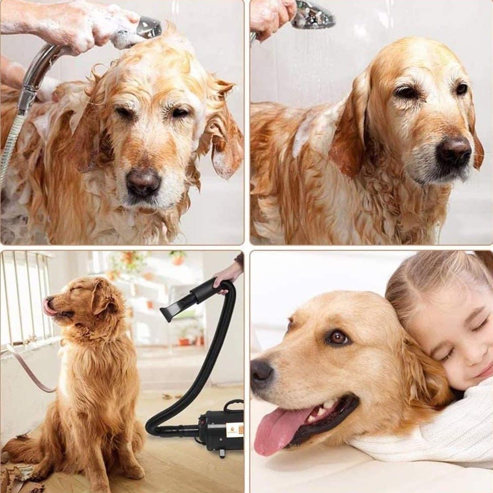 Portable Pet Hair Grooming Dog Dryer Portable Dog Grooming Blow Dryer - SNAPPYFINDS.COM ™